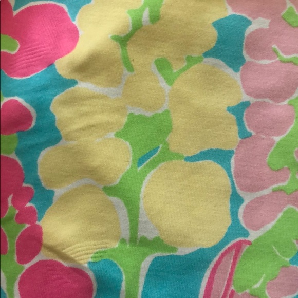 Lilly Pulitzer Other - Lilly Pulitzer one piece swim suit